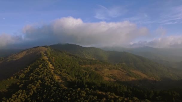 Flyg Över Skog Utanför Stigen Andalusien Spanien — Stockvideo