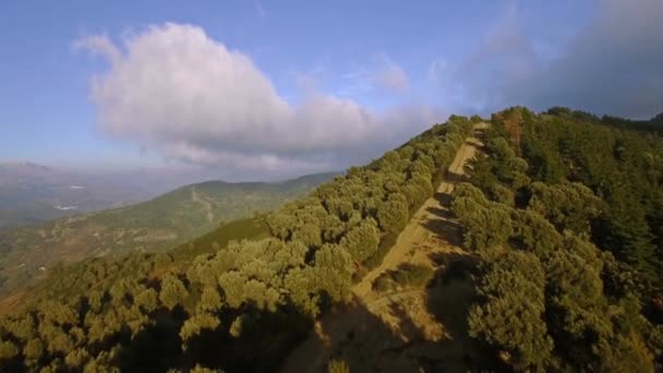 Flight Forest Beat Track Andalúzia Spanyolország — Stock videók