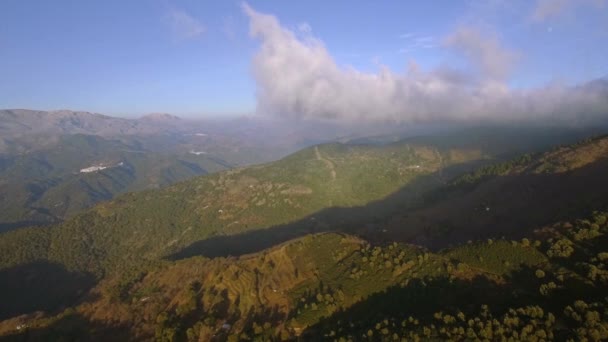 Voo Sobre Uma Floresta Fora Pista Batida Andaluzia Espanha — Vídeo de Stock