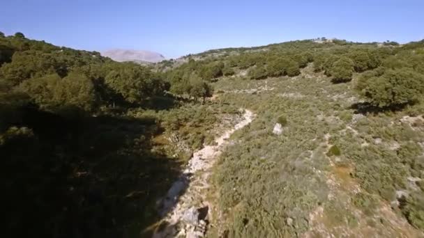 Flight Riverbed Andalusia Spain — Stock Video
