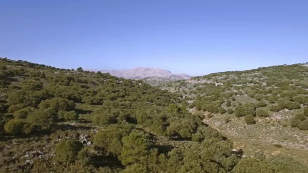 Flyg Längs Flodbädd Andalusien Spanien — Stockvideo