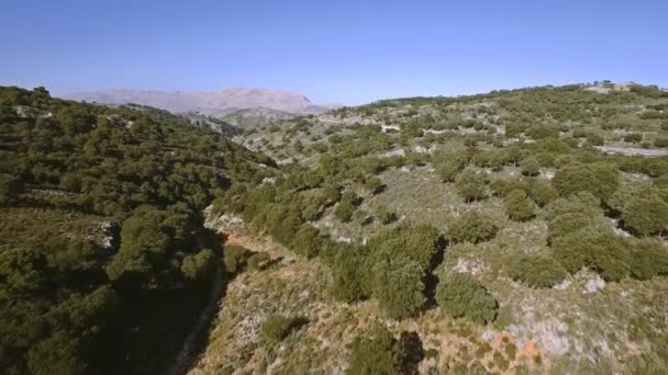Полет Вдоль Русла Реки Андалусии Испания — стоковое видео