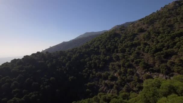 カペラニア アンダルシア スペインのネイティブ素材を眺めながら 山を飛ぶ空中 — ストック動画