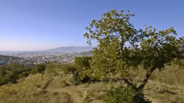 Luchtfoto Stadsgezicht Malaga Andalusië Spanje — Stockvideo