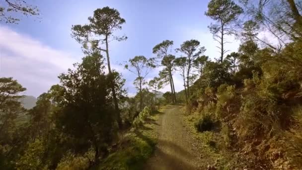 Bjerge Malaga Andalusien Spanien Smukke Landskab – Stock-video