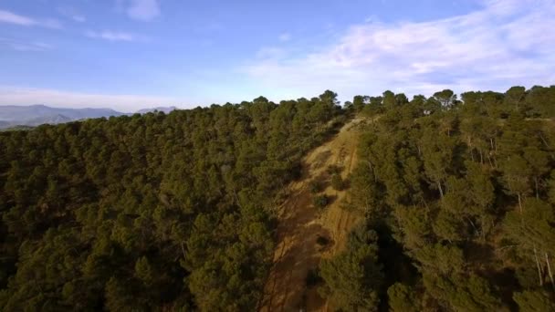 Vista Aérea Bela Floresta Monte Málaga — Vídeo de Stock