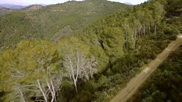 Aerial View Beautiful Forest Monte Malaga — Stock Video
