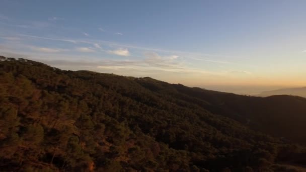 Aerial View Beautiful Forest Monte Malaga — Stock Video