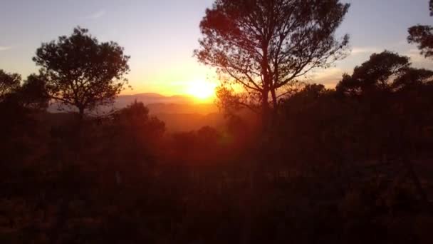 Vue Aérienne Belle Forêt Monte Malaga — Video