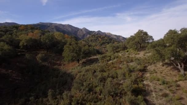 Beautiful Aerial Andalusian Landscapes Spain — стокове відео