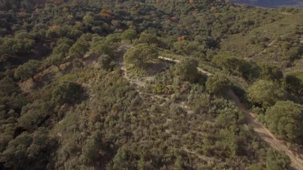 Beautiful Aerial Andalusian Landscapes Spain — стокове відео