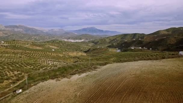 Aerial Flight Plain Field Sierra Las Nieves Andalusia Spain Stabilized — Stock Video