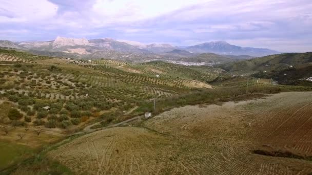 Aerial Flight Plain Field Sierra Las Nieves Andalusia Spain Stabilized — Stock Video