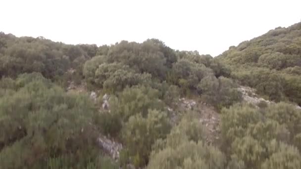 Aérea Vuelo Sobre Sierra Las Nieves Andalucía España — Vídeos de Stock