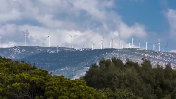 Lots Windmills Tarifa Andalusia Spain — Stok video