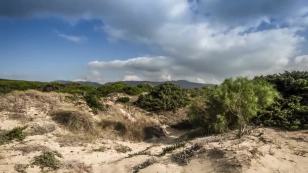 Playa Punta Paloma Andalusia Spain — стоковое видео