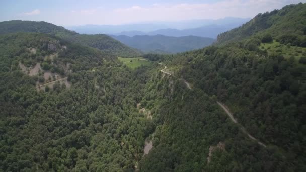 Die Wälder Der Pyrenäen Spanien — Stockvideo