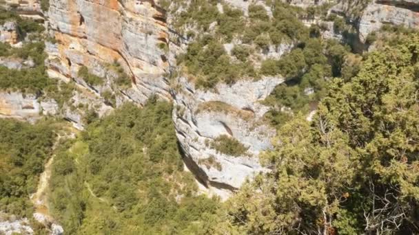 Oberer Rio Vero Canyon Barranco Portiacha Pyrenäen Spanien — Stockvideo