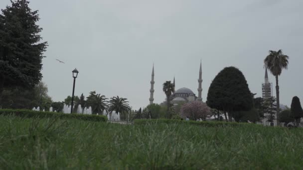 Sultão Ahmed Mesquita Mesquita Azul Istambul Turquia — Vídeo de Stock