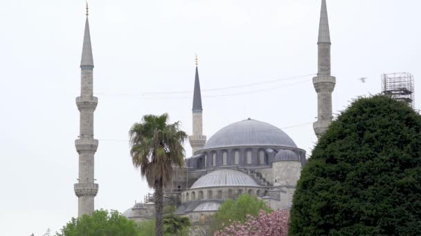 Султан Ахмед Озил Голубой Огонек Стамбул Турция — стоковое видео