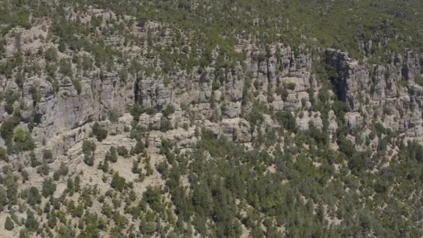 Koepruelue Canyon 터키의 — 비디오