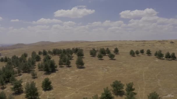 Όμορφη Εναέρια Άποψη Γύρω Από Goebekli Tepe Τουρκία — Αρχείο Βίντεο