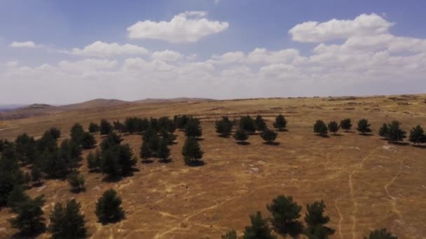 Prachtig Uitzicht Vanuit Lucht Rond Goebekli Tepe Turkije — Stockvideo