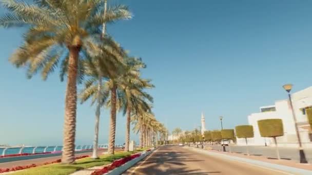 Area Sekitar Emirates Palace Abu Dhabi — Stok Video