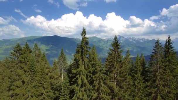 Прекрасний Вид Яванський Перевал Зелену Долину Швейцарія — стокове відео
