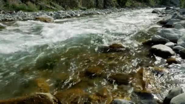 Water Stream Alpes Occidentales Francia — Vídeo de stock