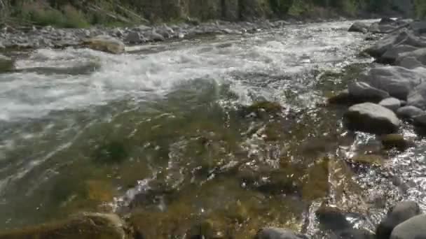 Water Stream Alpi Occidentali Francia — Video Stock