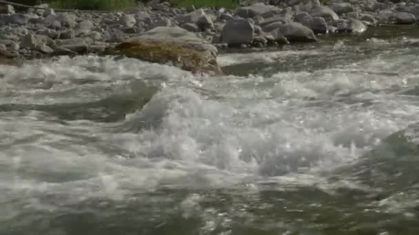 Water Stream Alpi Occidentali Francia — Video Stock
