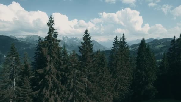 Όμορφη Θέα Του Jaun Pass Και Πράσινη Κοιλάδα Ελβετία — Αρχείο Βίντεο