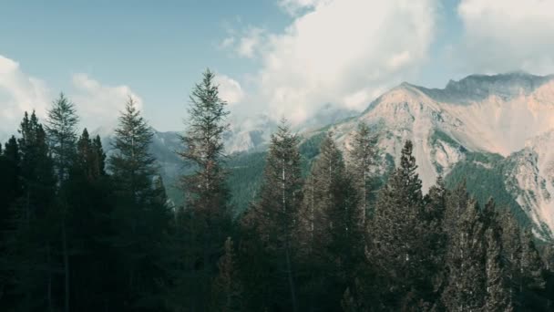 Vue Sur Forêt Les Montagnes Col Izoard France — Video