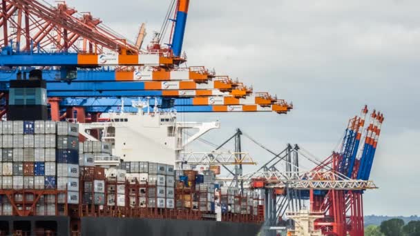 Μεταφορά Gantry Cranes Loading Cargo Ship — Αρχείο Βίντεο
