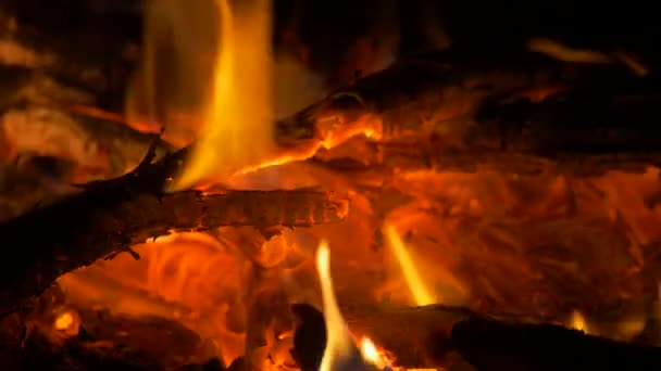 Beautiful Burning Campfire Close View — Vídeo de Stock