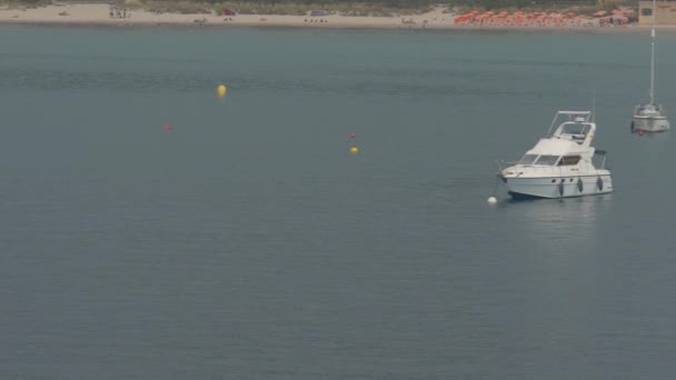 Calvi Den Nice Korsika Feribot Taşımacılığı — Stok video