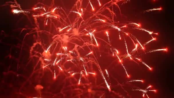 Fogos Artifício Céu Noturno Véspera Ano Novo — Vídeo de Stock