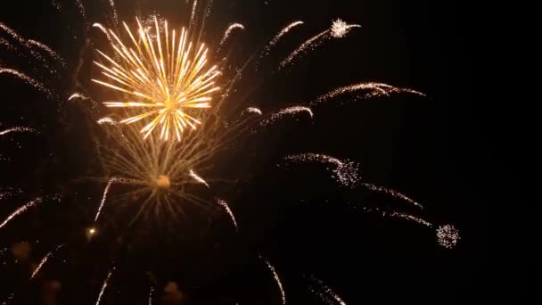Fuochi Artificio Notte Capodanno — Video Stock