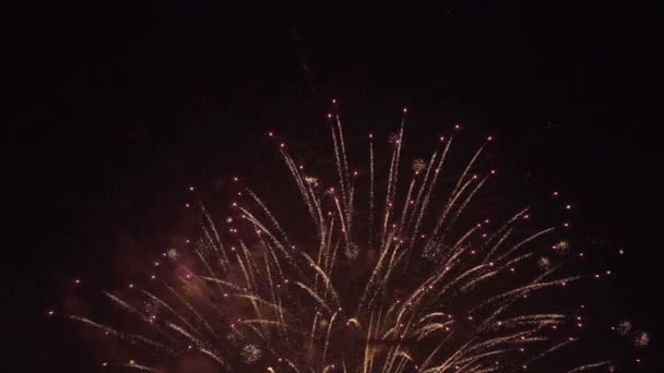 Fuochi Artificio Notte Capodanno — Video Stock