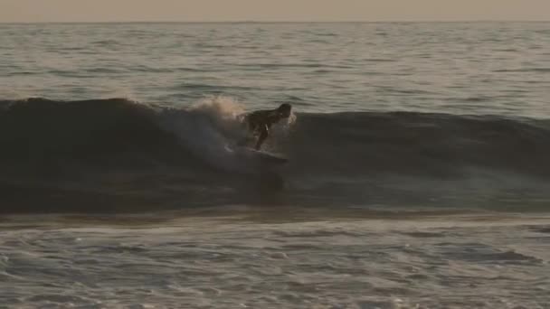Surfeurs Coucher Soleil Doré — Video