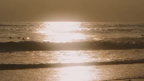 Surfaři Při Západu Slunce — Stock video