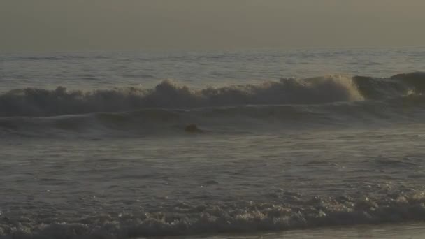 金色夕阳西下的冲浪选手 — 图库视频影像