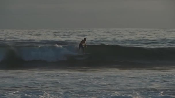 Surfers Bij Golden Sunset — Stockvideo