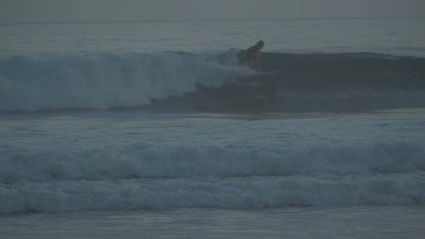 Surfers Golden Sunset — Stock Video