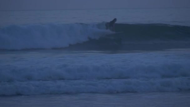 Surfeurs Coucher Soleil Doré — Video