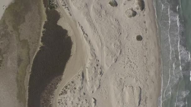 Flygfoto Över Greater Flamingo Island Djerba Tunisien — Stockvideo
