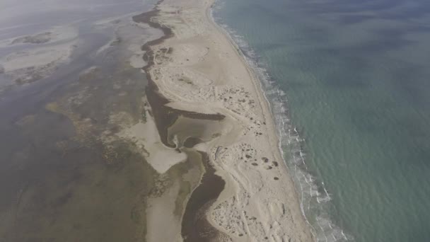 Luftaufnahme Der Insel Flamingo Djerba Tunesien Stockvideo