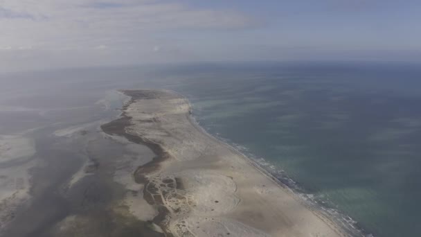 Αεροφωτογραφία Flamingo Swarm Djerba Τυνησία Ημερήσια Προβολή — Αρχείο Βίντεο