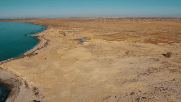 Aerial View Greater Flamingo Island Djerba Tunisia — Stock Video